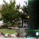 Image for article titled Shooting Challenge: Day to Night